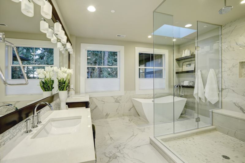 Luxury Master Bathroom Remodel